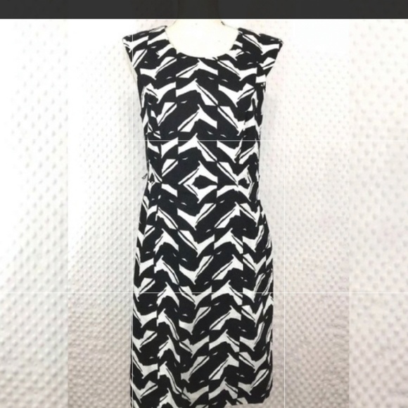 Premise Black and White Dress knee length Size 8 - Picture 1 of 6